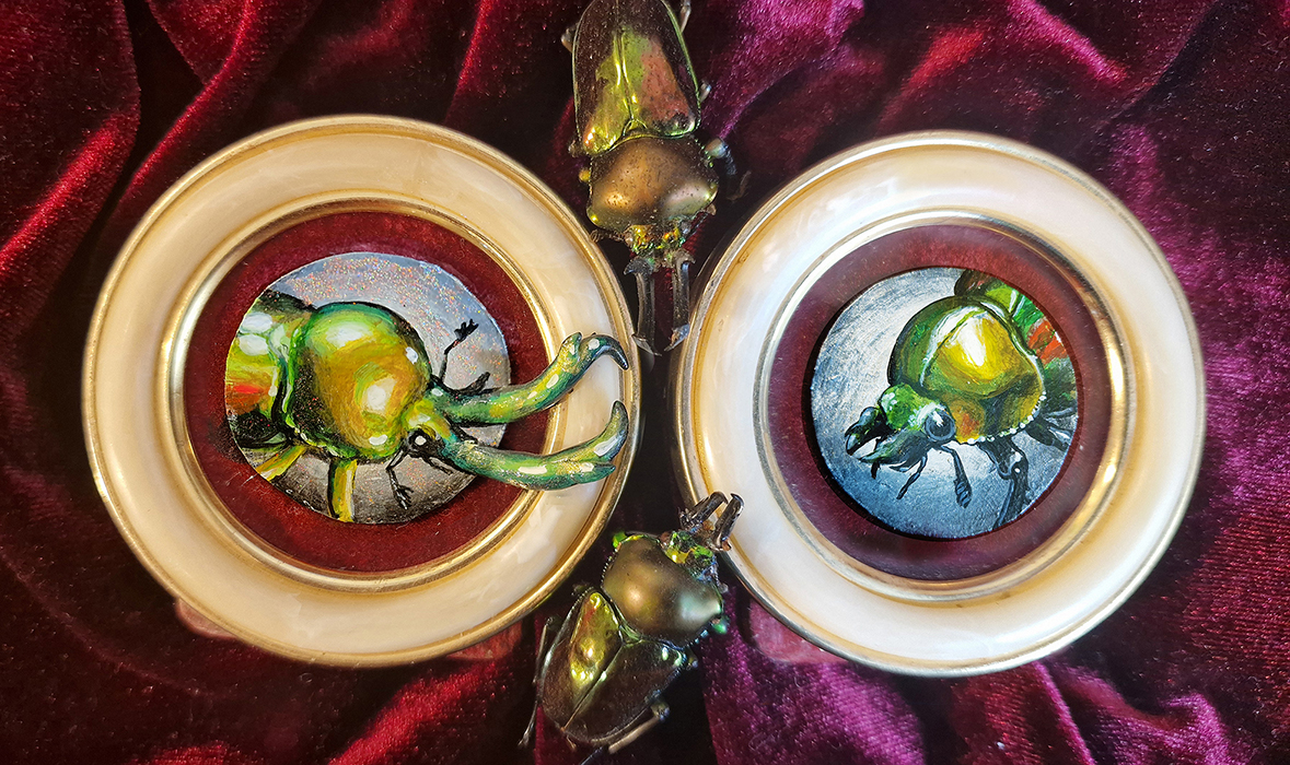 stag beetles