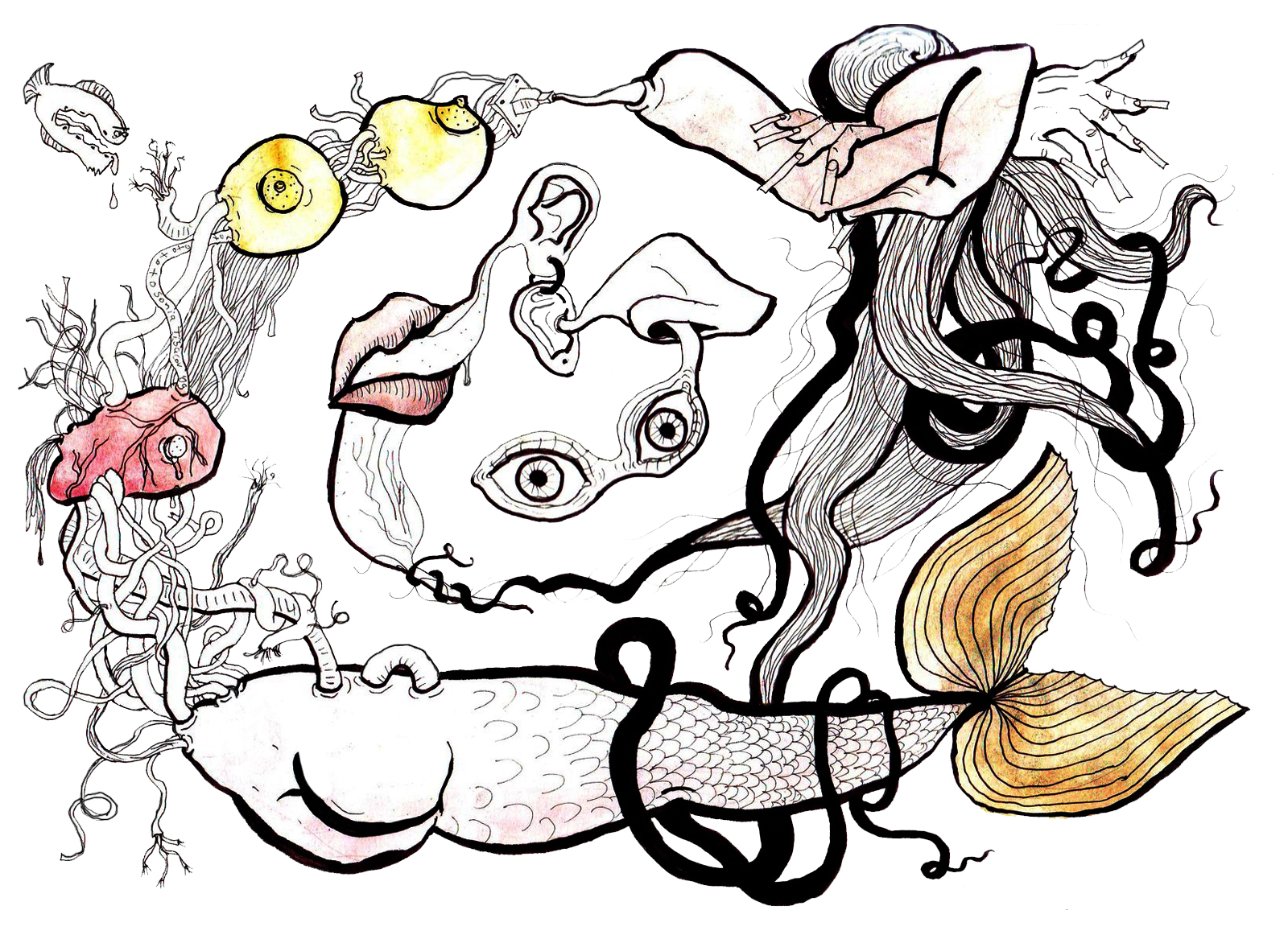 Scattered mermaid